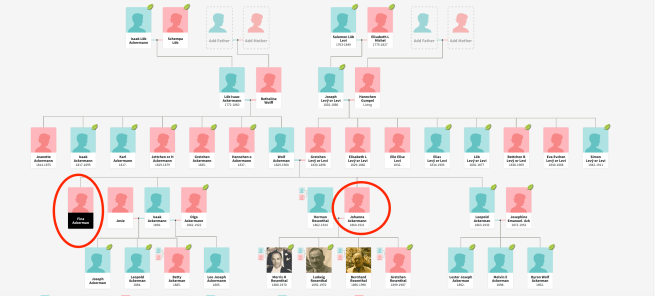 Screen Shot 2020-01-04 at 5.33.47 PM